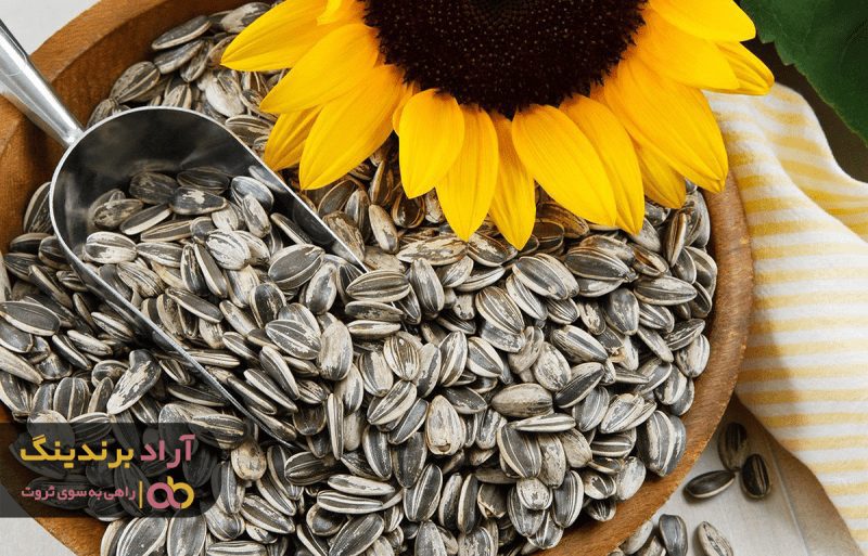 تخمه آفتابگردان