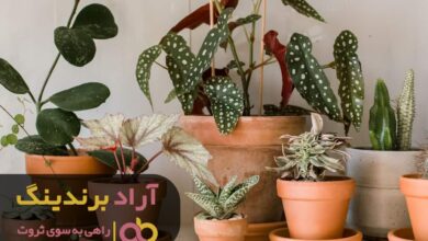 , ثروت ابزاری برای انجام کارهای بزرگ است