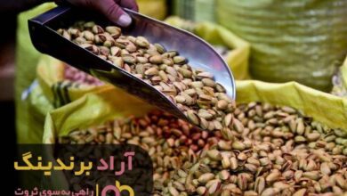 , با پسته ثروتی فراتر از ثروتمندان به دست آوردم
