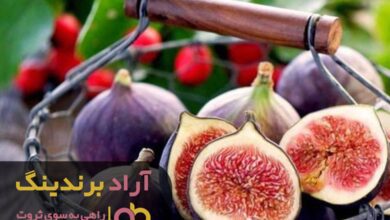 , انجیر من را ظرف یکسال پولدار کرد