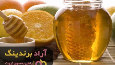 , پشتکار در کسب و کار اینترنتی عامل موفقیت من بود