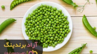 , گسترش کارم موجب افزایش چشم گیر موجودی حسابم شد