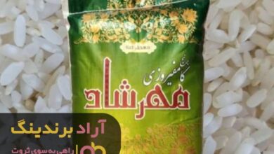 , توانستم با برنج ثروتمند شوم