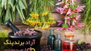 , از زندگی افراد ناموفق درس گرفتم و ثروتمند شدم
