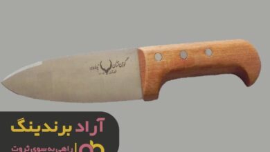 , من با این کسب‌ و کار به موفقیت مالی رسیدم