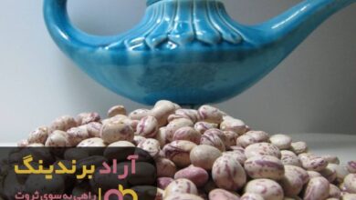 , ریشه های لوبیا ثروت را به زندگی ام گره زدند