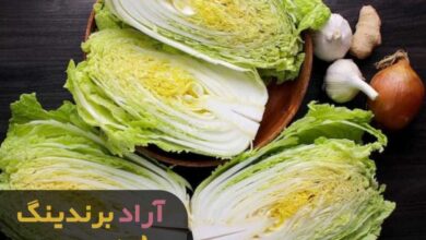 , کلم پیج مسیر ثروتمند شدنم را هموار کرد