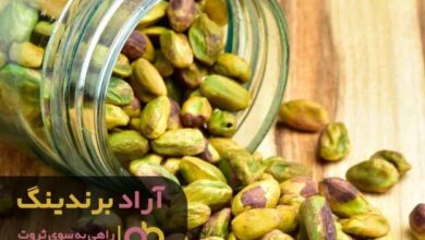 , روابط خوب داشته باش تا ثروتمند شوی