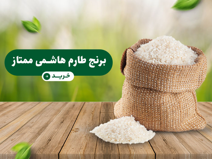 برنج ایرانی؛ طلای سفید ایران از مزرعه تا سفره