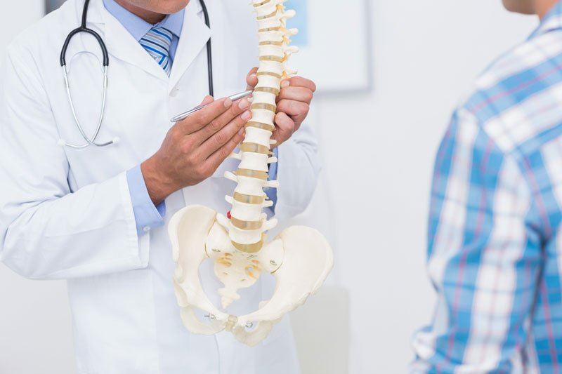 A doctor showing a skeleton to a patient AI-generated content may be incorrect.
